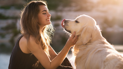 The Importance of Grooming: Tips for Keeping Your Pet's Coat Healthy