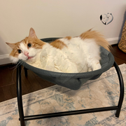 -50% Cat Hammock | Dog Hammock