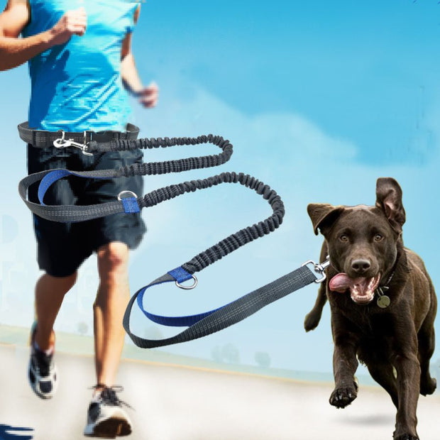 Hands free dog leash, dog running leash, waist dog lead