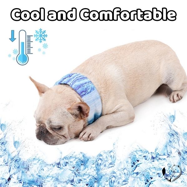 Cooling Dog Bandana, cooling dog collar