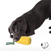 Dental chew Toy | Dental dog toys