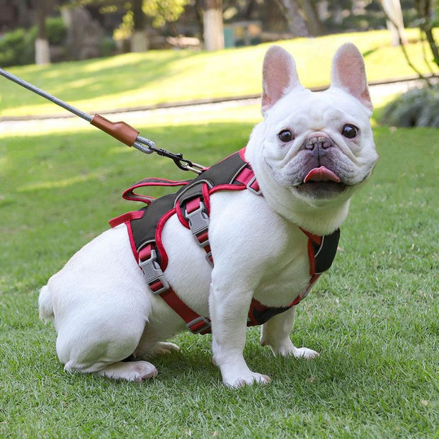 Dog harness anti pull, dog harness no pull