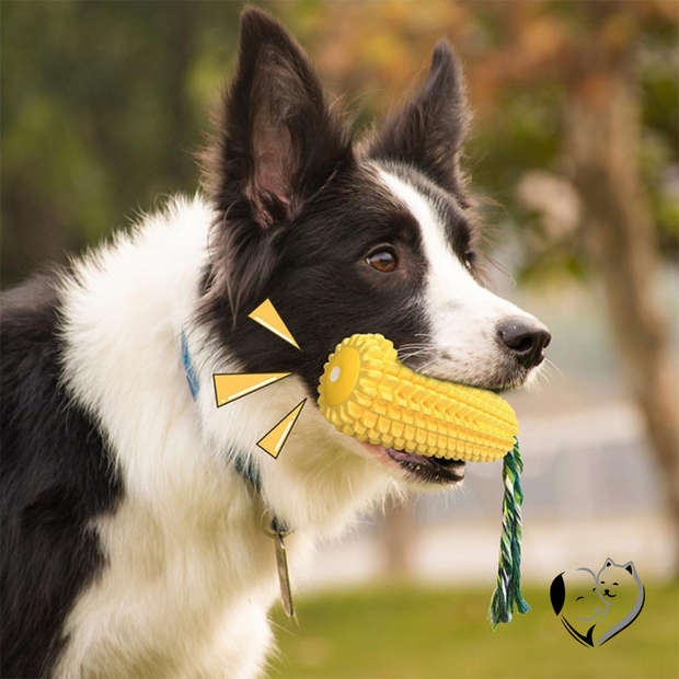 Dental chew Toy | Dental dog toys