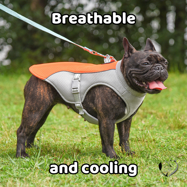  Cooling dog vest, cooling jackets for dogs