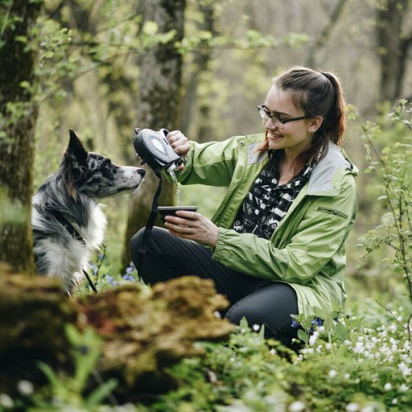 Multi-Function Dog Leash