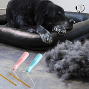 Lint remover | Pet hair remover 