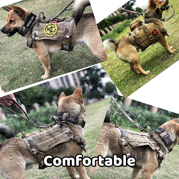 Tactical Military Dog Harness