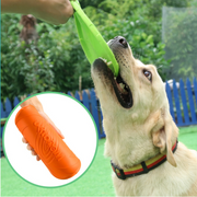 Frisbee for dogs | Disc