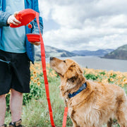 Multi-Function Dog Leash