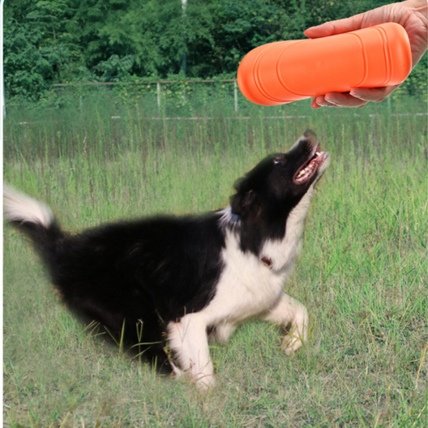 Frisbee for dogs | Disc