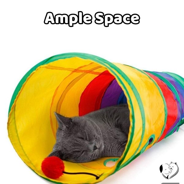 Cat tunnel 