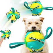 Dog frisbee ballFlying saucer ball