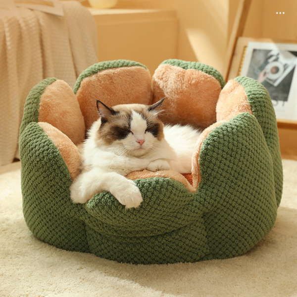 Cozy Cactus Cat Bed