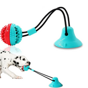 Suction cup toy, Suction toys