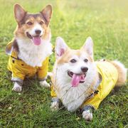 Dog Raincoat | Dog Rain jacket