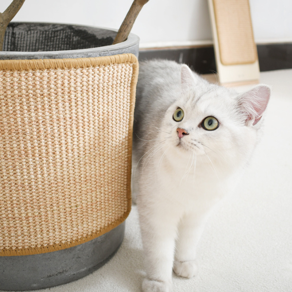 cat scratcher cat scratcher mat cat scratch carpet cat scratching post