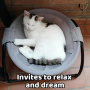 -50% Cat Hammock | Dog Hammock