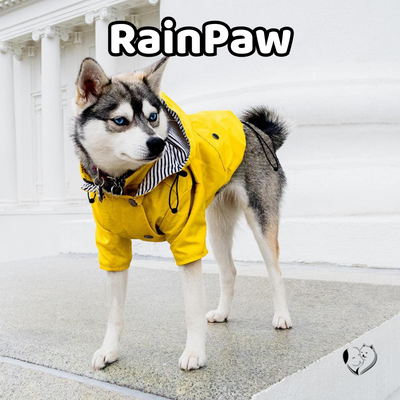 Dog Raincoat | Dog Rain jacket