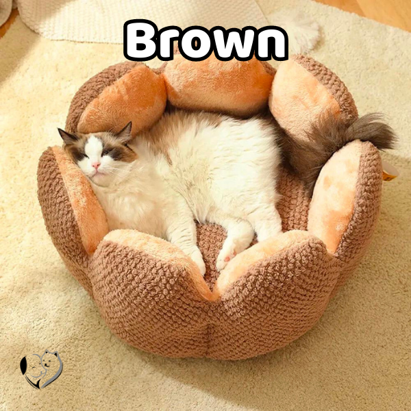 Cozy Cactus Cat Bed