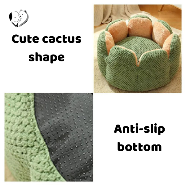 Cozy Cactus Cat Bed