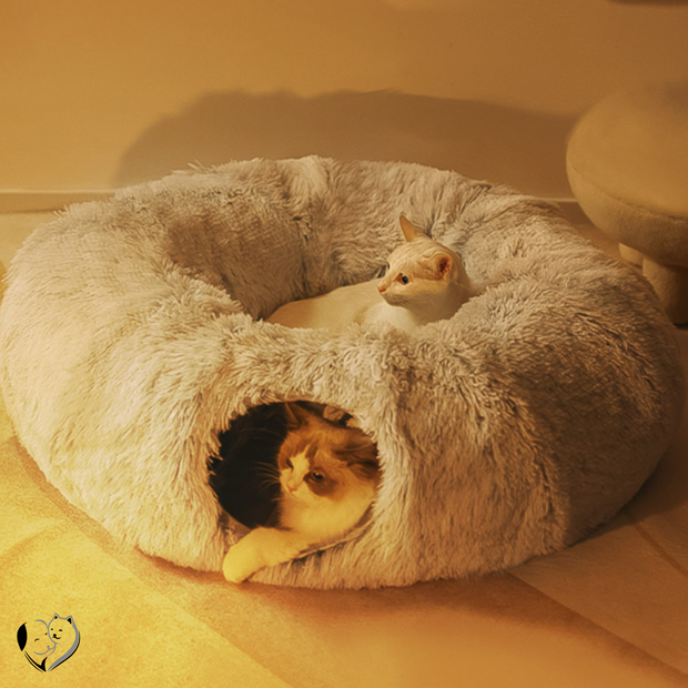 Cat tunnel bed