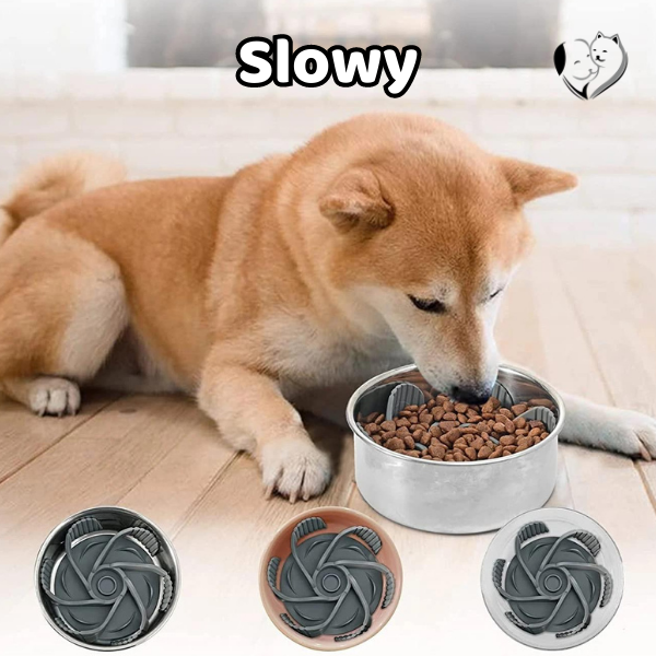 slow feed dog bowl, slow feeder bowls, slow feeder dog, cat slow feeder, dog bowls for fast eaters