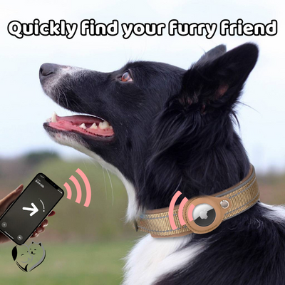 Apple AirTag Dog Collar